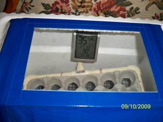 14377_thermometer_top.jpg
