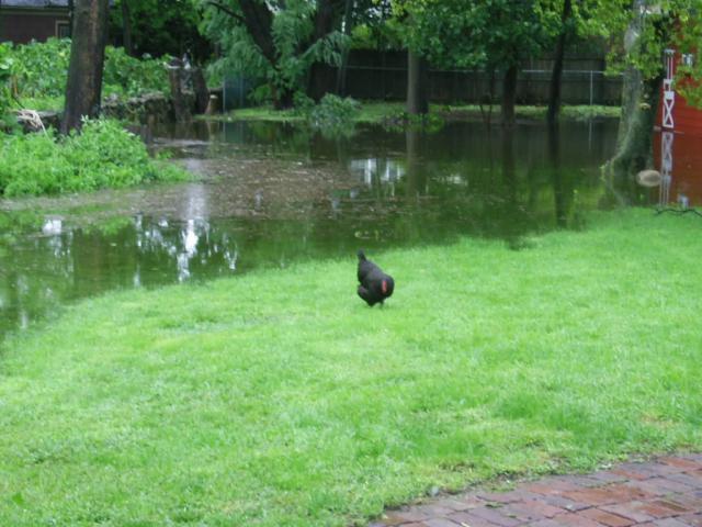 14386_pic_0015.jpg