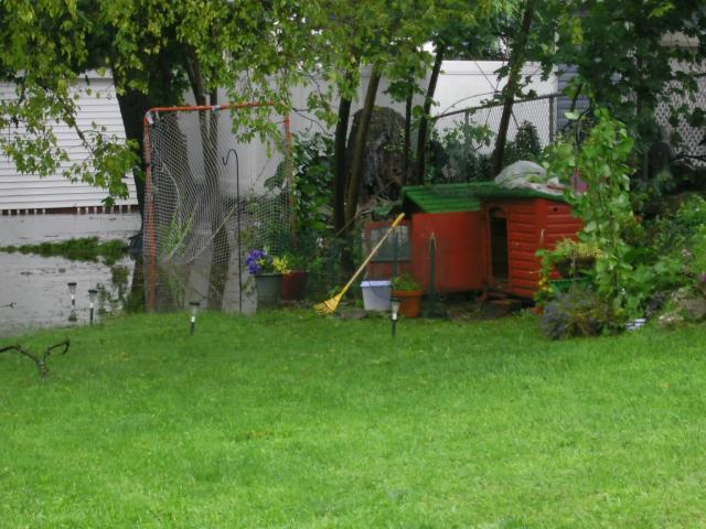 14386_pic_0018.jpg