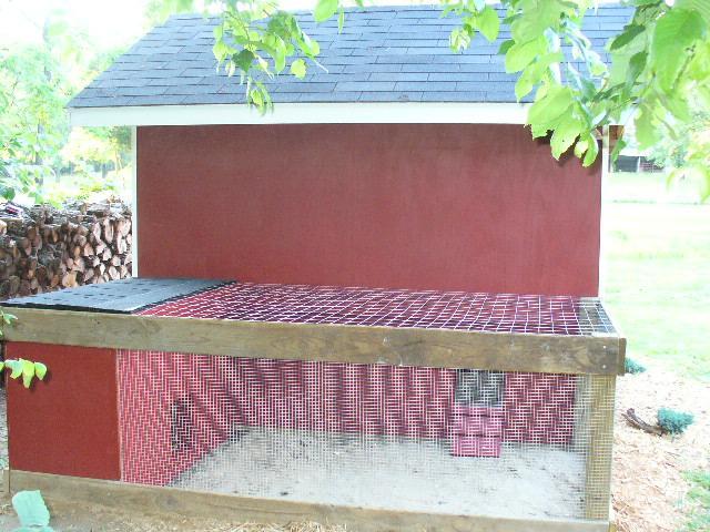 1441_chickens02.jpg