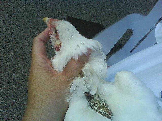 14499_image003.jpeg
