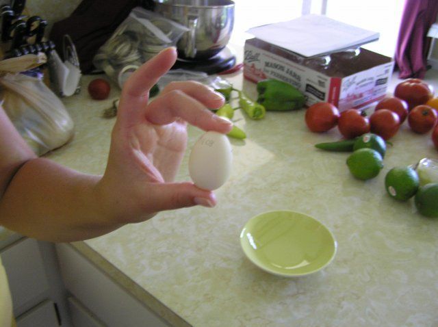 14572_first_egg.jpg
