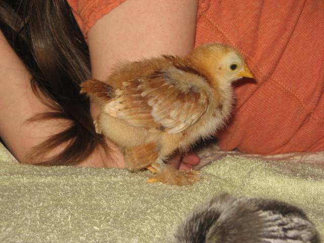 14596_babies031809_023.jpg
