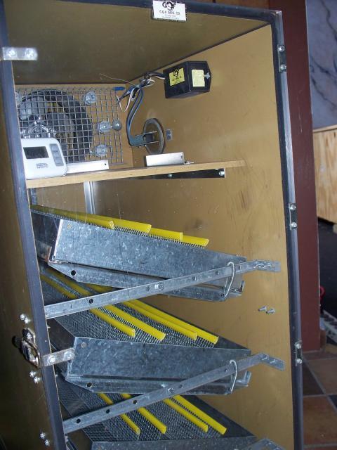 Gqf Cabinet Bator Can Anyone Help With Model Info Backyard Chickens Learn How To Raise Chickens