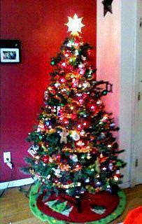 14678_christmas_2010.jpg