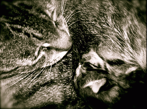 14678_edited_picture_8.png