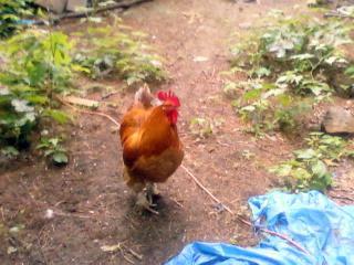 14678_photo3163.jpg