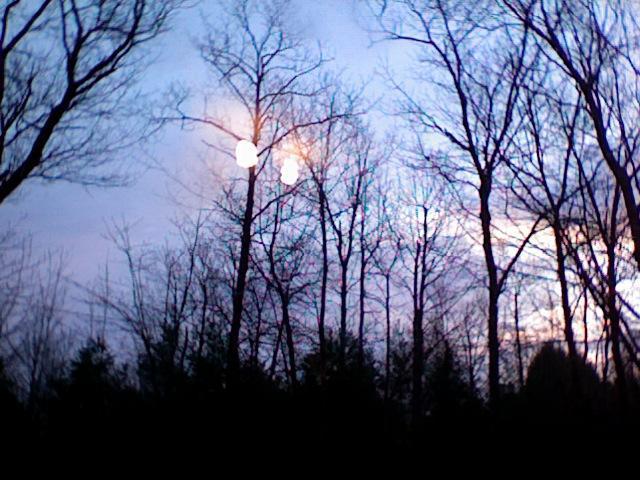 14678_photo_279.jpg