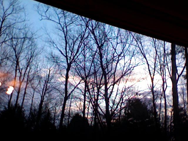 14678_photo_280.jpg