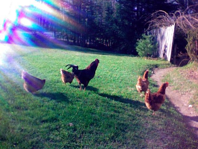 14678_photo_385.jpg