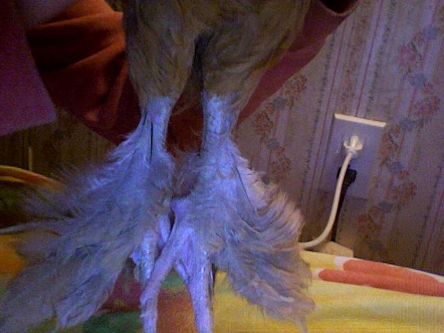 14678_photo_434.jpg