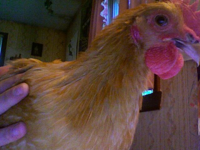 14678_photo_442.jpg