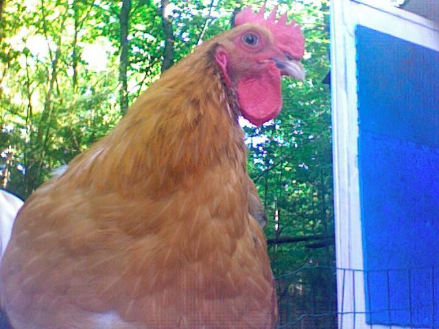 14678_photo_518.jpg