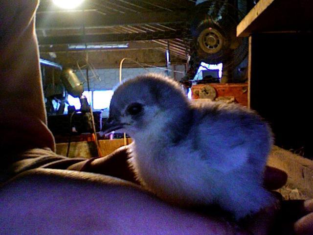 14678_photo_548.jpg