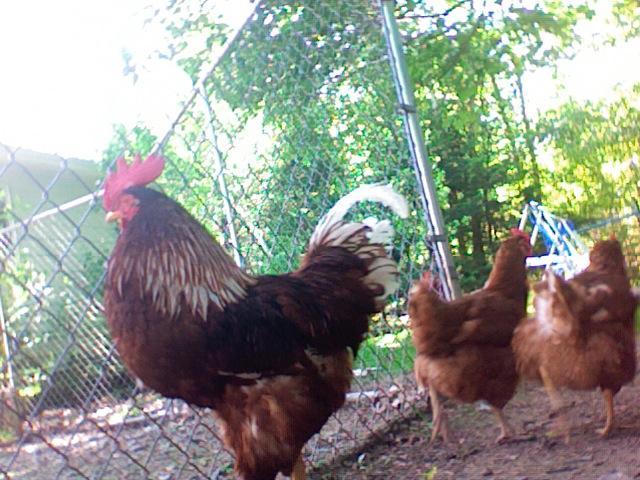 14678_photo_565.jpg