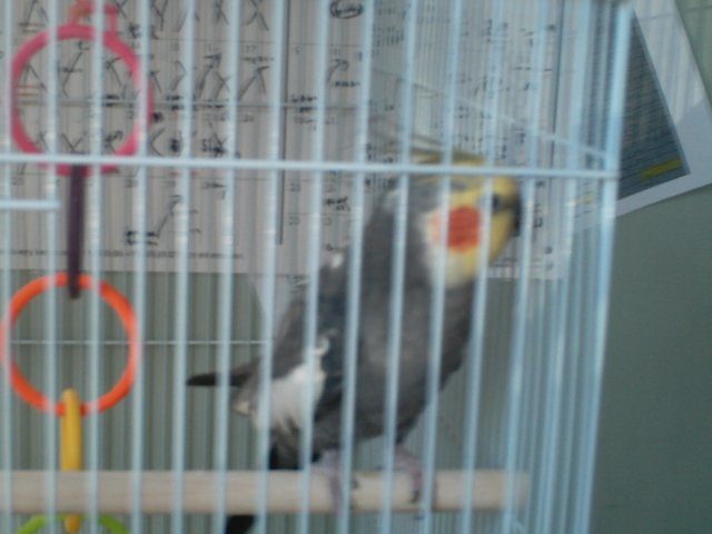 14678_picture_021.jpg