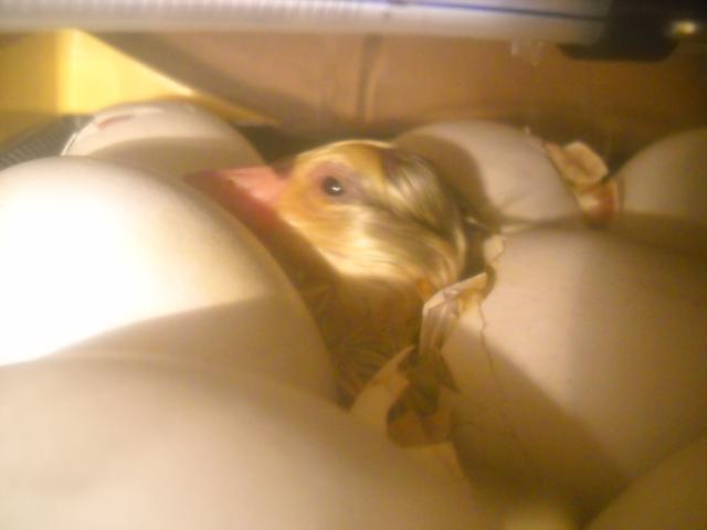 14706_dscn1236.jpg