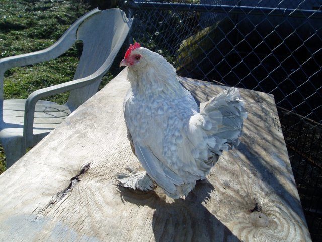 14716_ck_ck_017.jpg