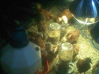 14833_0214101309.jpg