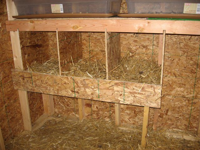 14834_img_0737.jpg