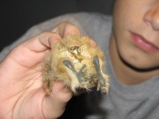 14866_img_2685.jpg