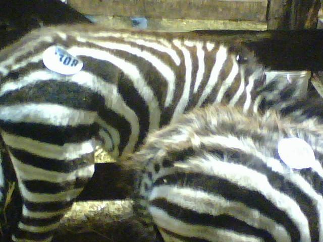 14880_1106091612.jpg