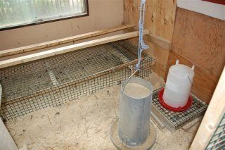 14933_dropping_pit_and_feeder.jpg