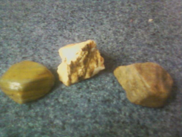 14951_backyardrocks.jpg