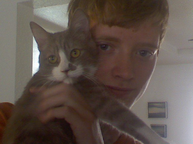 14951_bugsy.jpg