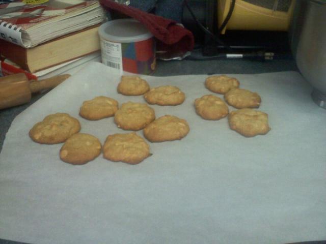 14951_cookies.jpg
