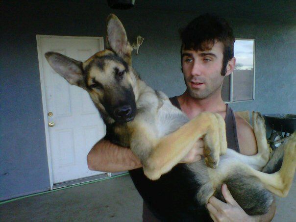14951_dog_with_no_name.jpg