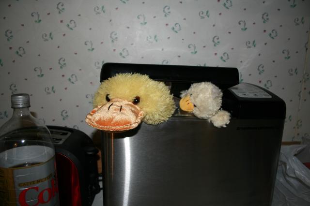 14951_img_2066.jpg