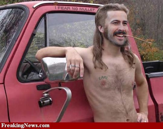 14951_mullet.jpg