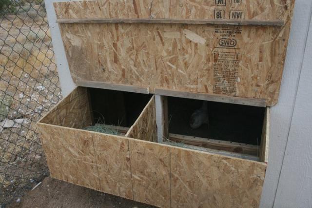 14951_nestbox.jpg