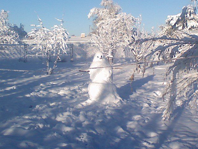 14951_snowman.jpg
