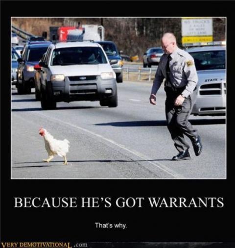 14951_wantedchicken.jpg