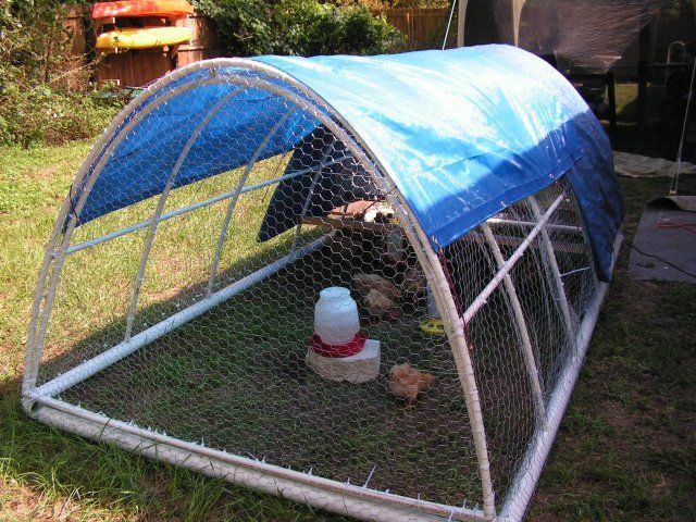 New PVC chicken tractor, just finished! | BackYard Chickens