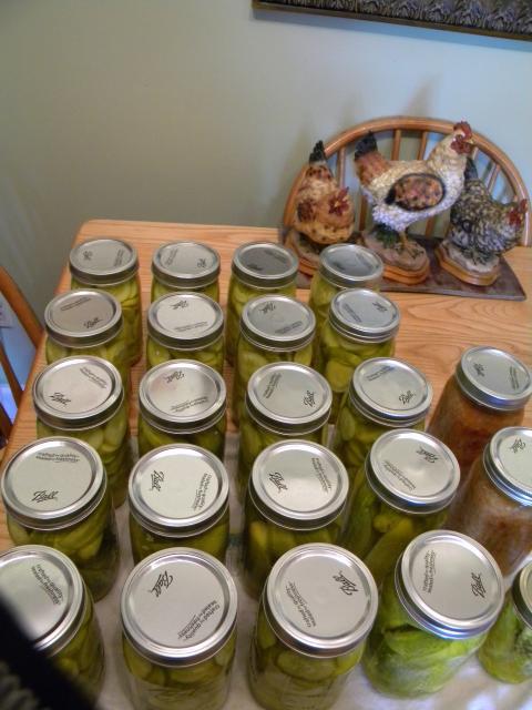 15098_canning_014.jpg