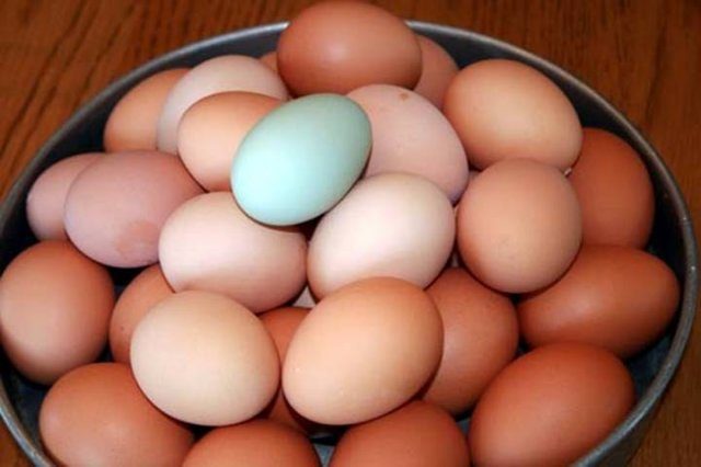 15099_pretty_blue_egg.jpg