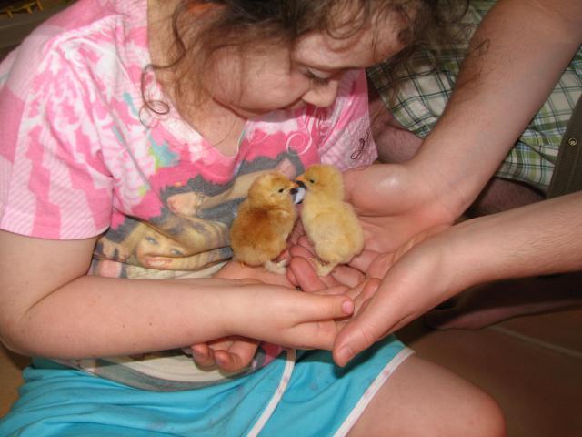 15108_aprilchicks2_033.jpg