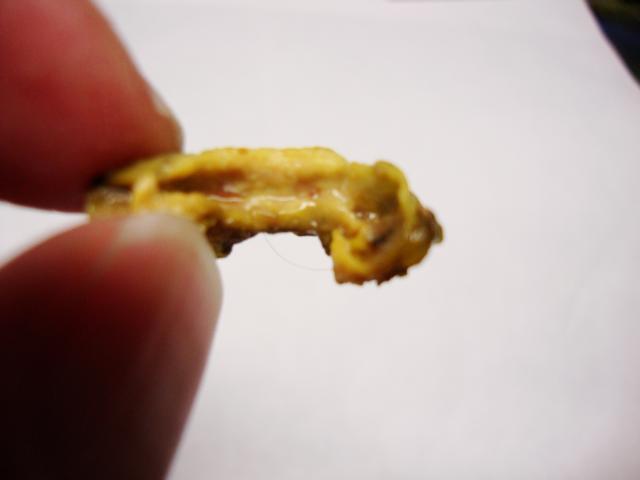 15154_dsc04412.jpg