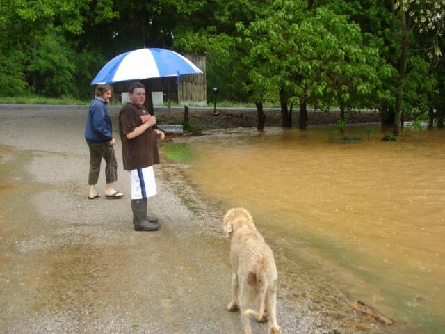 1517_flood_2010_016.jpg