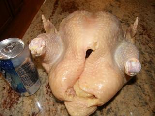 15188_chicken_002.jpg