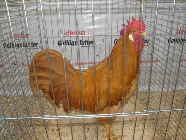 15188_german_trip_084.jpg