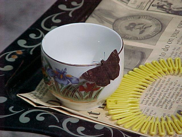 15282_butterfly_on_cup.jpg