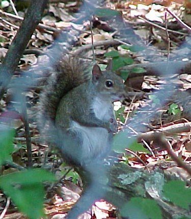 15282_mvc-004f_0002_edited.jpg