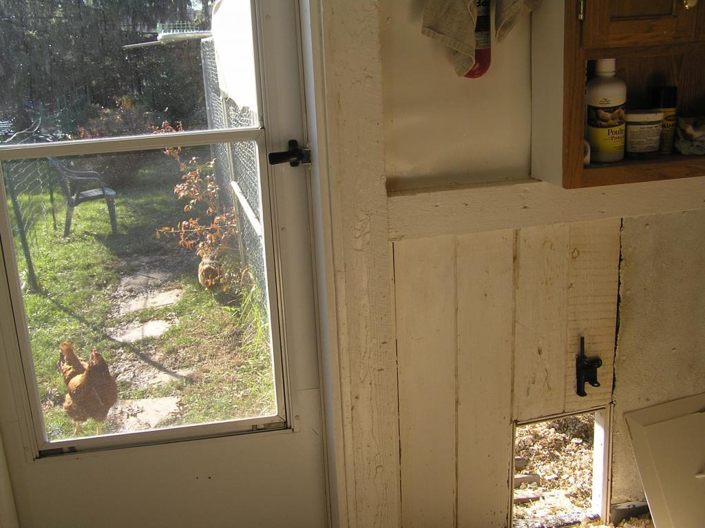 152_pb050571.jpg