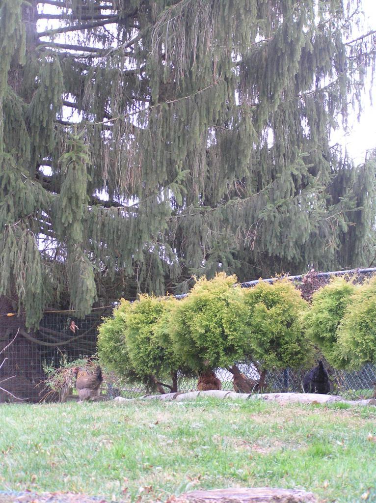 152_pb130590.jpg