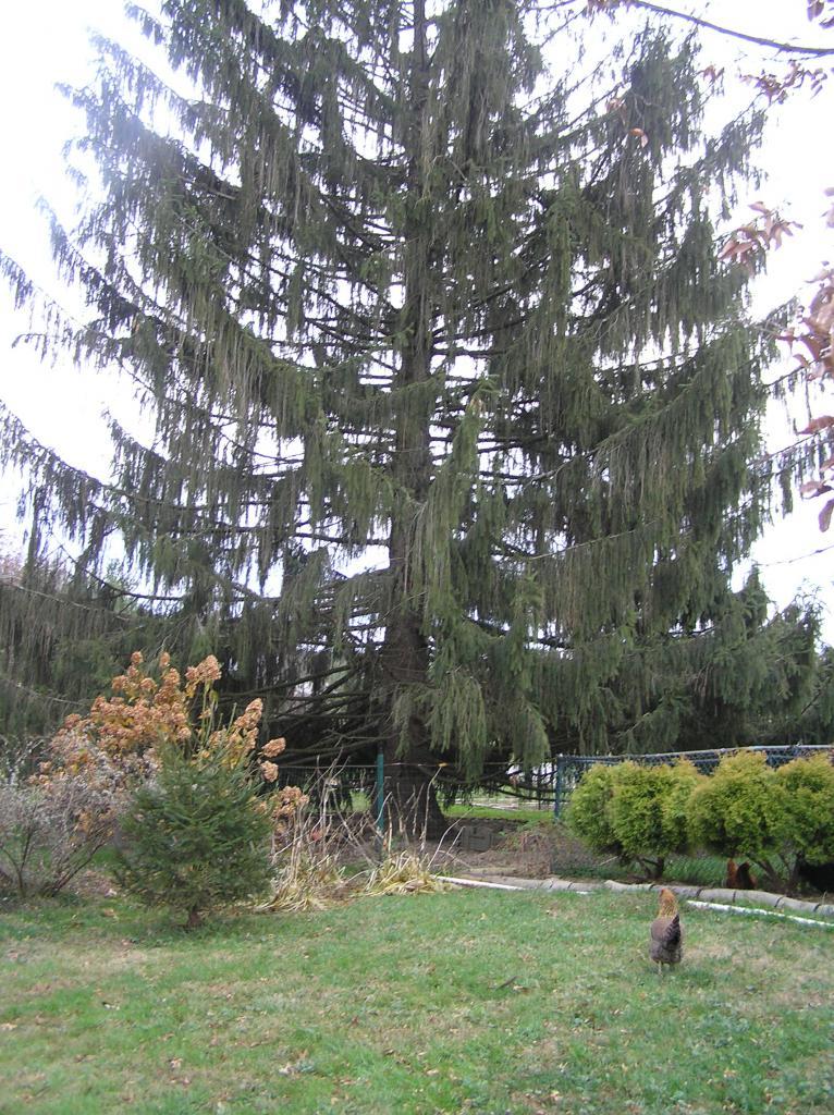 152_pb130591.jpg