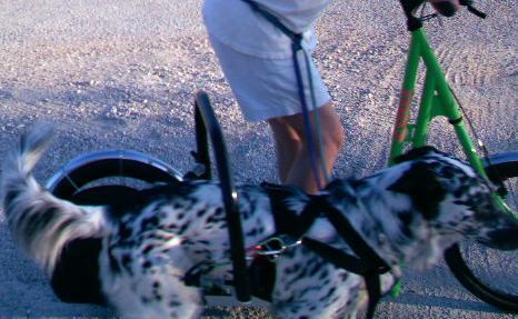 15399_me_and_mac_scootering_3.jpg